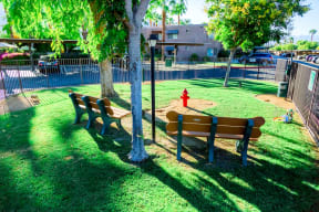 dog park at  Villa Boutique Apartment Homes in Palm Springs California.