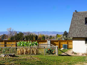 A backyard with a fence, a shed, and a garden at Mountain Terrace Apartments, Colorado, 80031.