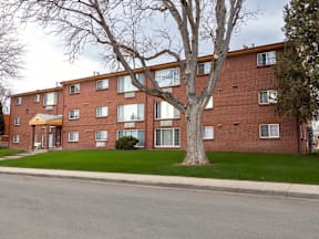 A large tree stands in front of a red brick apartment building at Townview Plaza Apartments, Denver, 80204 .