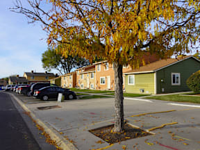 A tree with yellow leaves is in the foreground of a street with cars and houses in the background at Willow Grove Apartments, Clifton.