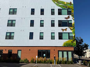 A building with a mural of butterflies on the side.