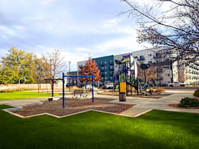 A park with a playground and a building in the background.