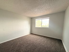 A room with a window and carpeted floor.
