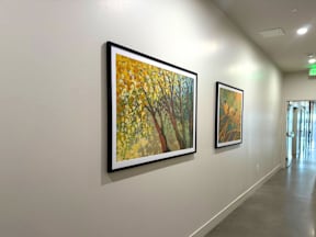 Two framed paintings of trees hang on a wall.