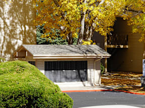 A small building with a garage door is surrounded by trees with yellow leaves.