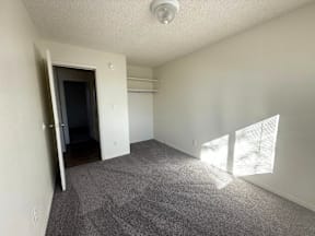 A room with a grey carpet and a white door at Willow Grove Apartments, Clifton, CO, 81520.