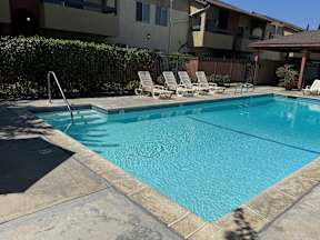 Villa Del Sol swimming pool with white lounge chairs.