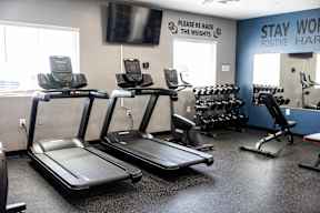 A gym with treadmills, elliptical machines, and dumbbells.