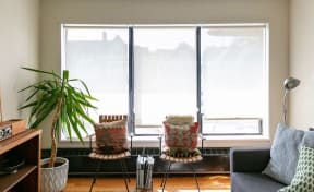 two chairs in front of a window in a living room