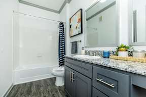 a bathroom with a sink and a toilet and a shower
