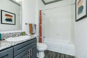 a bathroom with a sink and a toilet and a shower