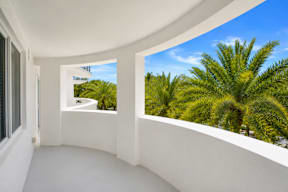 A white room with a window overlooking a palm tree.