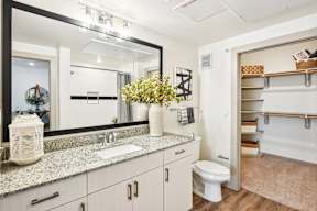 A bathroom with a sink, mirror, and toilet.