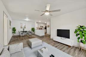 A living room with a grey sofa and a white television.