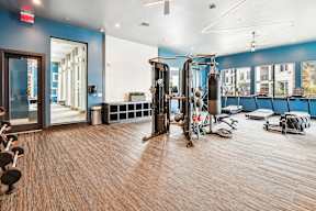 A gym with a variety of equipment including weights and cardio machines.