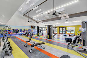 the gym at the callaway house austin