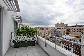 A balcony with a planter box filled with white flowers.
