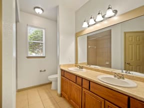 a bathroom with a sink and a toilet