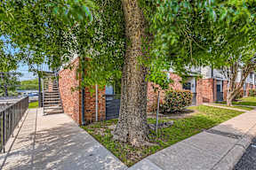 a tree in front of a brick building with a sidewalk