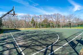 a basketball court in a park on a clear day