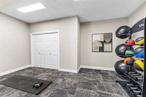 A room with a white door, a black mat on the floor, and a rack of colorful exercise balls.