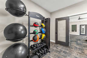 A gym with a TAG wall mounted rack holding a variety of fitness equipment.
