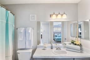 a bathroom with a large mirror and a sink and a toilet