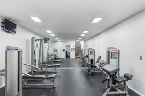 a gym with cardio equipment and weights on the floor