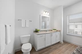 a bathroom with a toilet and a sink and a mirror