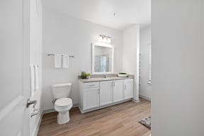 a bathroom with a toilet and a sink and a mirror