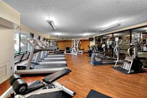 A gym with treadmills, elliptical machines and other exercise equipment.