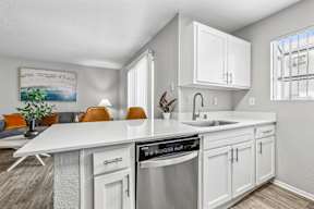 A modern kitchen with white cabinets and a stainless steel dishwasher.