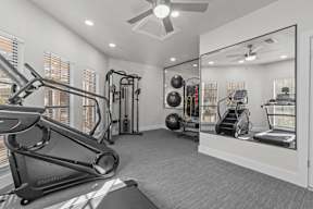 A well-equipped home gym with a treadmill, weights, and mirrors.