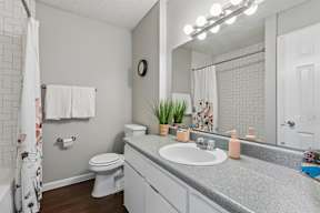 A bathroom with a toilet, sink, mirror, and a plant.