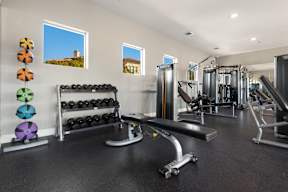 the gym at the enclave at woodbridge apartments in sugar land, tx