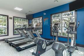 A gym with treadmills and a window showing trees.