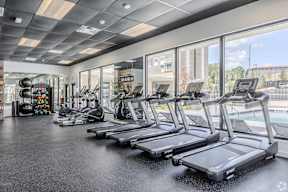 A gym with treadmills and exercise equipment.