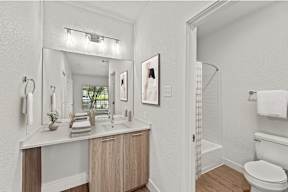 A bathroom with a white counter and a white toilet.