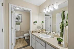 A bathroom with a toilet, sink, mirror, and a potted plant.