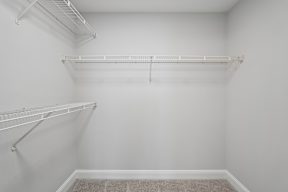 A white closet with a carpeted floor and two shelves.