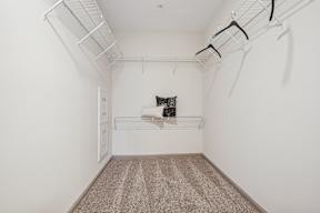A room with a striped carpet and a few shelves.