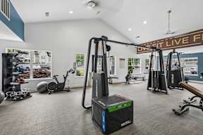 A gym with a variety of equipment including a squat rack, exercise bike, and a bench.
