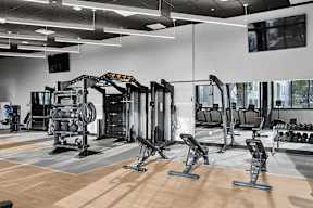 A gym with a variety of equipment including weights and weight machines.