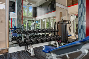 the weights rack in the gym at the belgard apartments