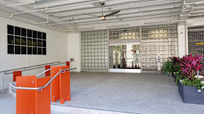 A room with orange barriers and a plant.