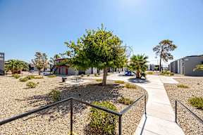 a courtyard with a tree and benches in front of a building