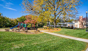 A playground with a slide and a tree with yellow leaves.