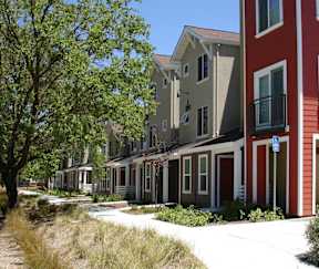 A row of townhouses with a tree in the foreground.