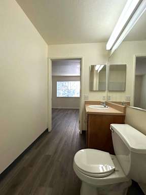 A bathroom with a toilet, sink, and mirror.