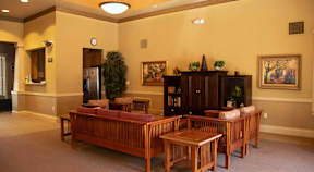 A living room with a couch, chair, and a potted plant.